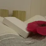 Pitu * Alfondeguilla