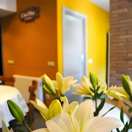 컨트리하우스 Pitu *