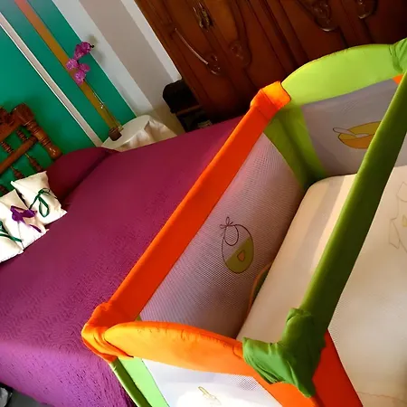 Pitu Country house Alfondeguilla