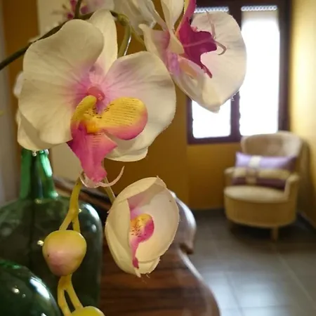 Country house Pitu Alfondeguilla